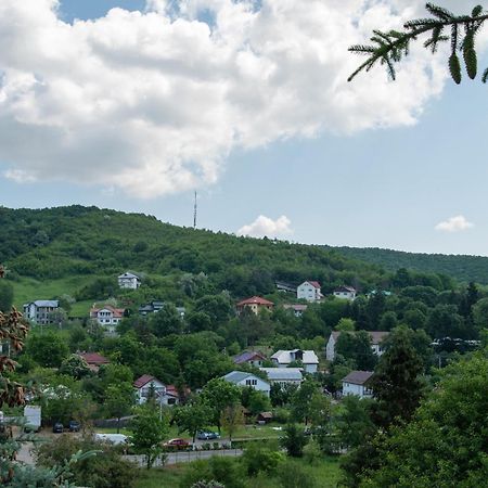 Complex Caprice-Monteoru Hotel Sărata-Monteoru Екстериор снимка